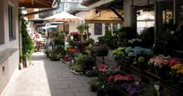 EINZELHANDEL München Die Münchner Märkte Der Viktualienmarkt hat sich vom ursprünglichen Bauernmarkt zum beliebten Einkaufsplatz für Feinschmecker entwickelt.