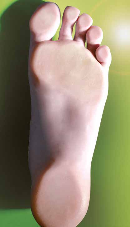 Im Focus: Ihre Füße Die Vorsorge Wenn die Füße ihre Form verlieren Viele Diabetiker klagen über Verformungen der Füße.