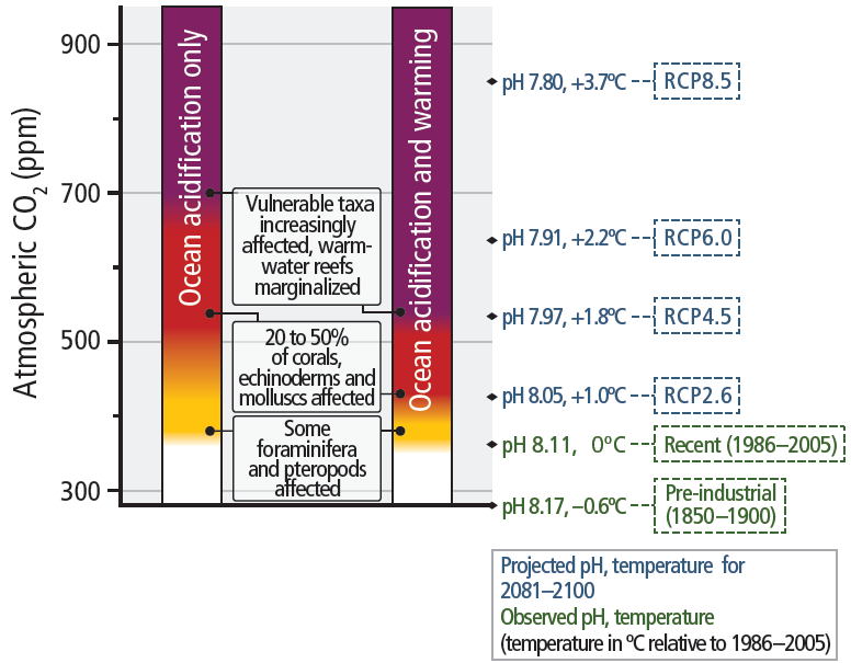 Risiken Ozeanversauerung: (Quelle: IPCC AR5 Synthesebericht SYR, Fig. 2.