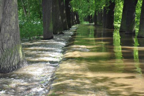 +++ 16:55 Uhr I Elbe-Elster: Folgende Straßen-Vollsperrungen im Landkreis Elbe- Elster hat der Verwaltungstab soeben aufgrund der Hochwasserlage bekannt gemacht: Stadtgebiet Mühlberg (für Auswärtige)
