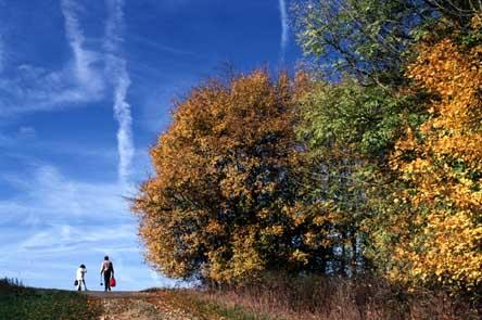 Wanderprogramm der KSG 1 Luxemburger Str. 136 50939 Köln, Tel. 42102330, Fax Nr.