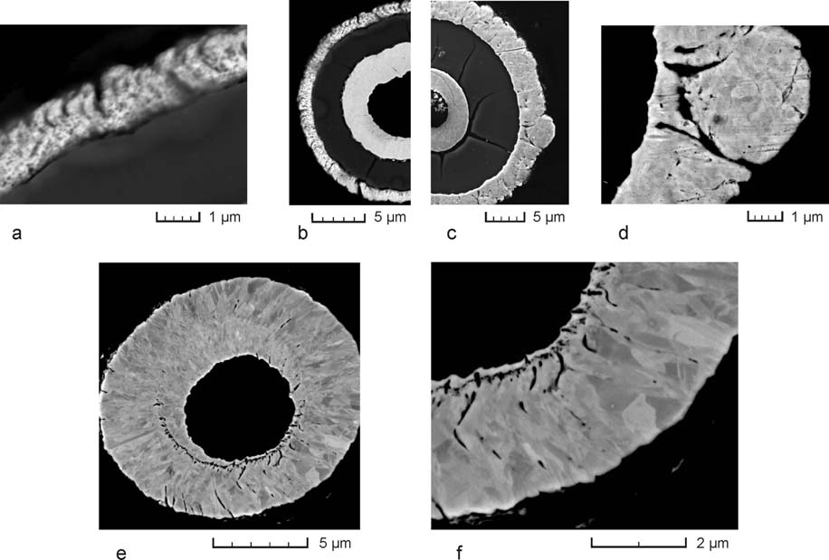 Abb. 3: REM-Aufnahmen verschiedener Querschnitte beschichteter C-Fasern (T300): a mikroporöse Cu-Schicht (HR-Bild von b), b Übersichtsaufnahme einer beschichteten C-Faser mit mikroporöser Cu-Schicht,