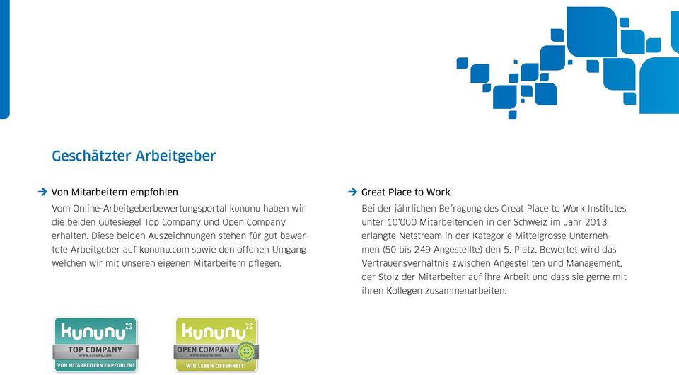 Great Place to Work Bei der jährlichen Befragung des Great Place to Work Institutes unter 10 000 Mitarbeitenden in der Schweiz im Jahr 2013 erlangte Netstream in der Kategorie
