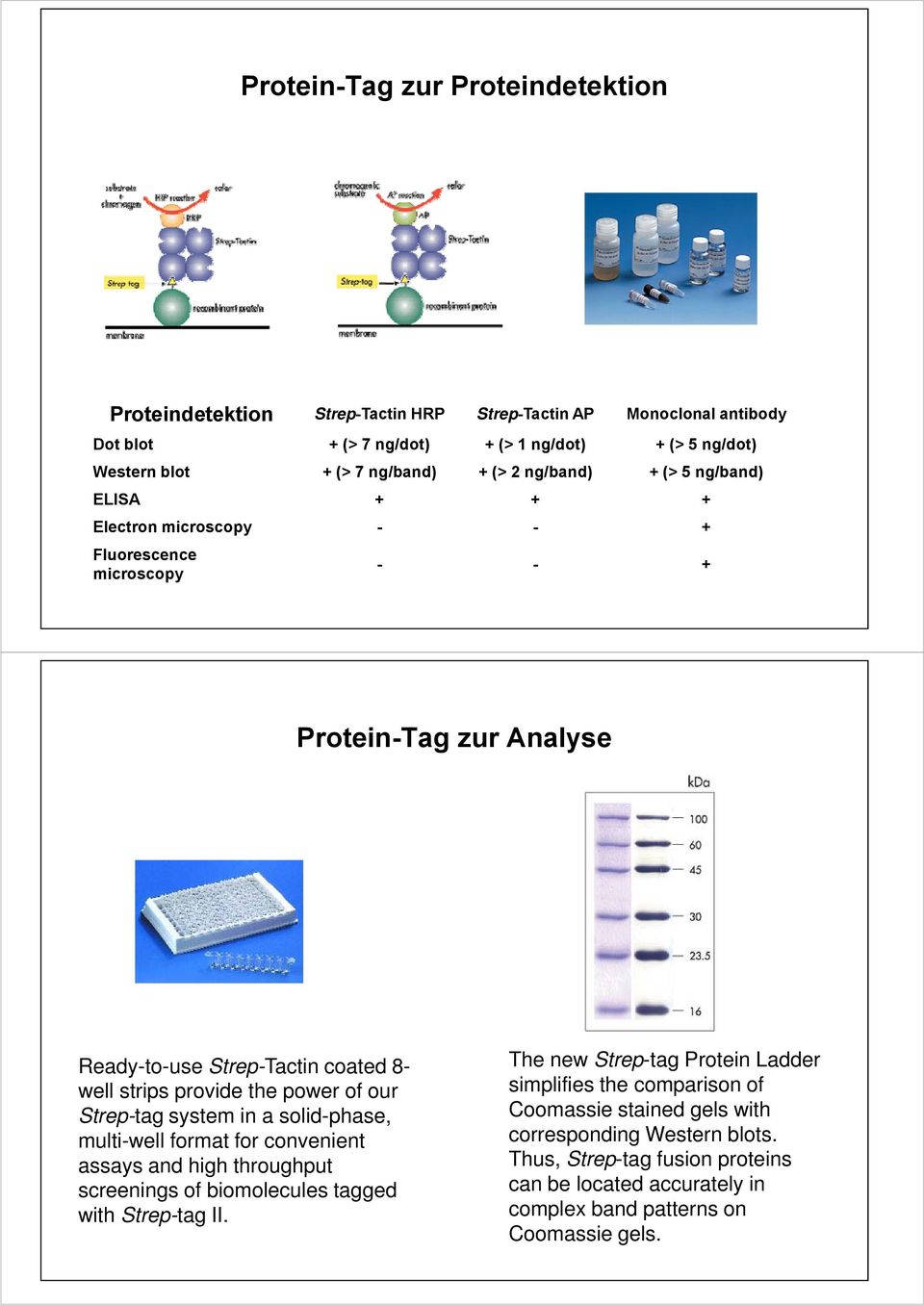 of our Strep-tag system in a solid-phase, multi-well format for convenient assays and high throughput screenings of biomolecules tagged with Strep-tag II.