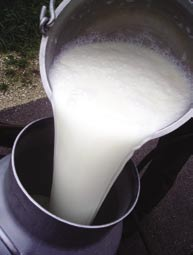 Problematik der Erkrankungen vielfach unterschätzt Nahezu jeder Milchproduzent hat schon mit akuten Euterentzündungen (Fachbegriff: Mastitiden) zu tun gehabt, welche durch die klassischen Symptome