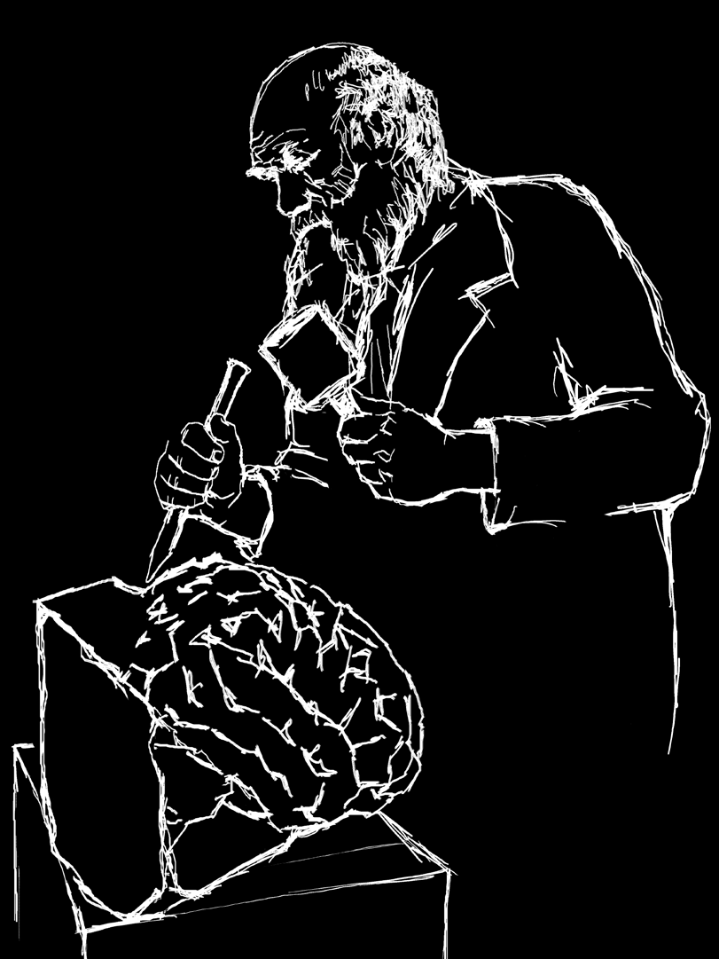 baumeister der evolutionstheorie Charles Darwins (1809 1882) Lehre von der Abstammung des