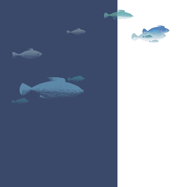 Bestandserhaltung: langfristige Bewirtschaftungsziele In den Meeren und Ozeanen unseres Planeten herrscht es nicht mehr der Überfluss an Fischen wie früher.