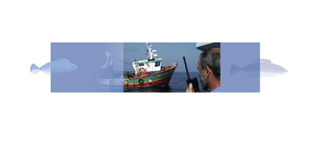 Wirksame Kontrolle und Umsetzung Für die Umsetzung der Vorschriften der Gemeinsamen Fischereipolitik sind die Mitgliedstaaten zuständig.
