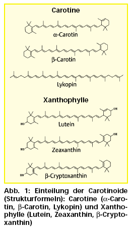 Lykopin Carotinoid (ungesättigtes Polymer des ß-Carotins) in Tomaten, Tomatenprodukten