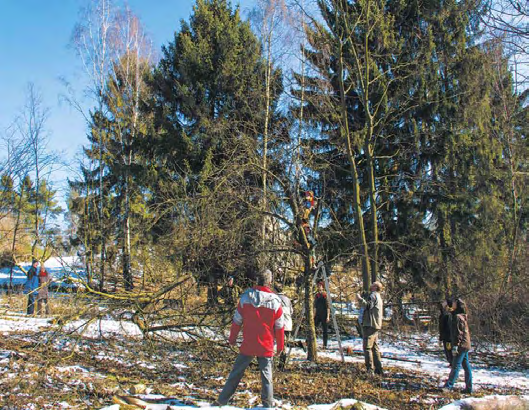 Arbeitsgemeinschaft Klettern und Naturschutz Hochtaunus Obstbaumschnitt mit schwerem Gerät Im noch winterlichen Taunus fand unsere diesjährige Frühjahrsaktion an den Eschbacher Klippen statt.