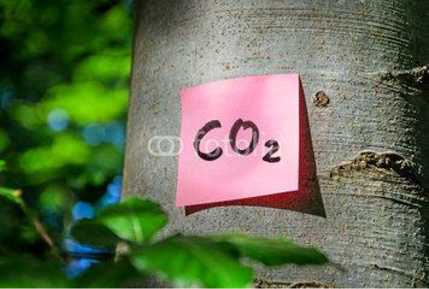 CO2-BILANZ WIRKUNGSABSCHÄTZUNG- GEBÄUDEKONSTRUKTION Leno Decken ü. EG Haus 2 Leno Decken ü.