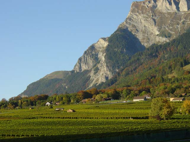 Graubünden, das Burgund der Schweiz Klein, aber fein: Nur drei Prozent der gesamten Schweizer Rebfläche liegen im Bündner Rheintal, einer der wärmsten Weinbauregionen der Deutschschweiz.