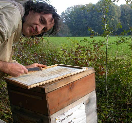 25 Jahre Varroa in der Schweiz Bienen und Milben eine höchst komplexe Beziehung Ist das Bienenvolk der Varroamilbe schutzlos ausgeliefert?