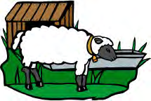 Das Schaf Das Schaf lebt im Stall und auf der. Im Stall frisst das Schaf Heu und. Auf der Wiese frisst das Schaf frisches. Das Schaf trinkt. Das Schaf kann laut.