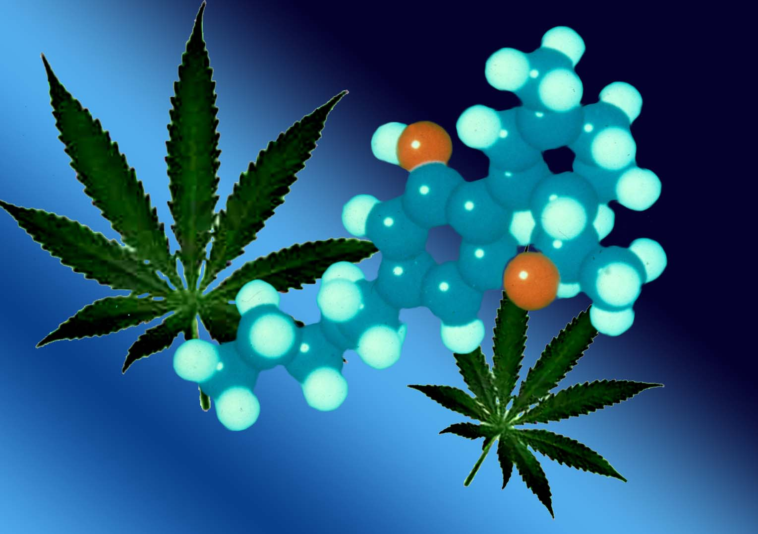 Klinische Forschung am Beispiel Dronabinol