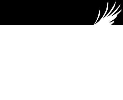 Rohrweihe (Circus aeroginosus) Wanderfalke (Falco