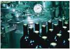2B CONCEPT CONSULTING FOR VINEYARD MANAGEMENT, FERMENTATIONS & OENOLOGY EU BIO Verordnung- Eine kritische Betrachtung von Weinbehandlungsmitteln Leibnitz 17.04.