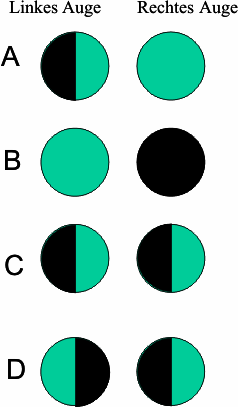 Teil: Theoretische Neurowissenschaften 1) Thema: Models of the Visual System (erste Vorlesungsstunde) Unten stehendes Diagram (links) zeigt ein graphisches Modell der Verschaltung des Sehsystems des