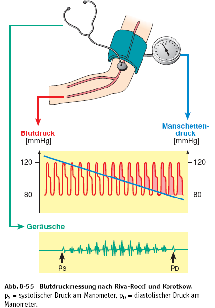 2 Grundlagen 23 Indirekte Blutdruckmessung Eine Hohlmanschette, die mit einem Manometer verbunden ist, wird am Oberarm angelegt und bis zu einem Wert aufgeblasen, der über dem systolischen Blutdruck