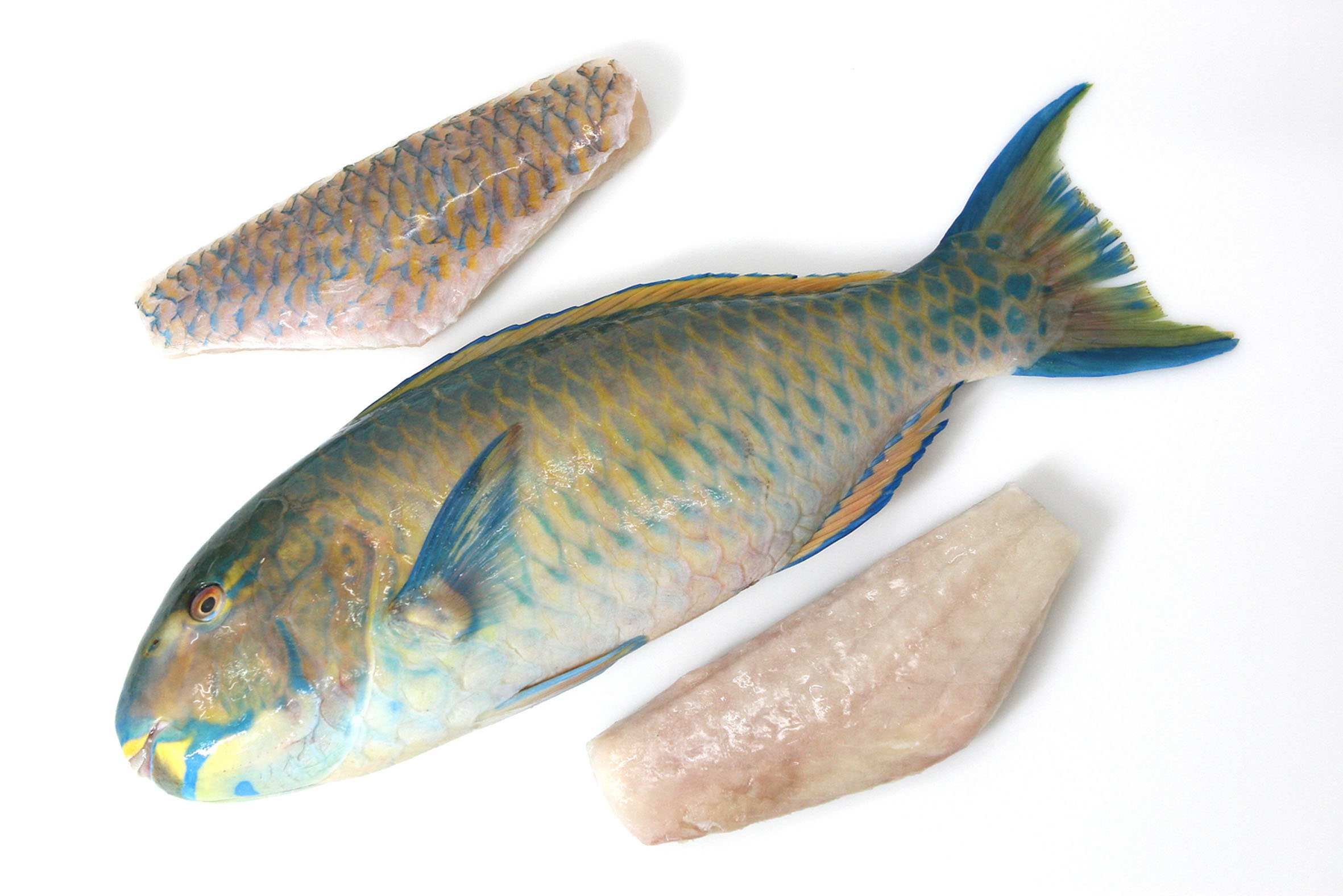 Victoriasee-Barschfilet Lates niloticus, aus Binnenfischerei in Kenia o.a. Ländern, ohne Haut, einzeln gefroren, sehr wohlschmeckend ca.