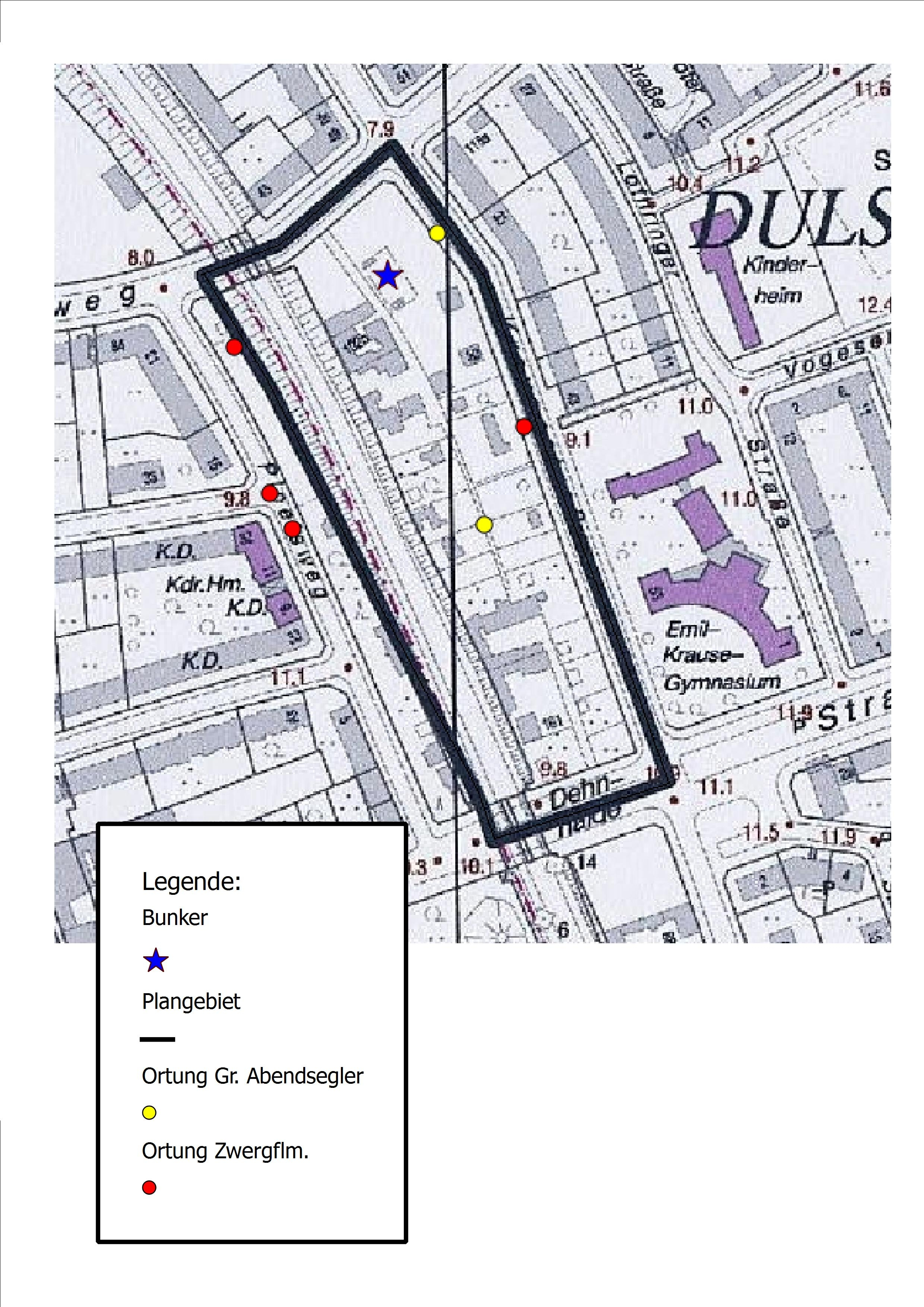 Abbildung 1: Übersicht des B-Plangebietes Dulsberg 6 und Fledermausortungen Als vorkommend müssen aufgrund der Habitatstruktur des Plangebietes sowie auf der Grundlage der aktuellen Verbreitung
