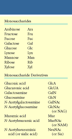Nukleotide D-Ribose und Purine oder Pyrimidine in