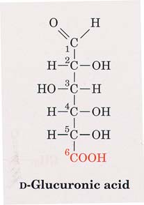 Aldonsäuren Die Aldehydgruppe der Aldosen kann zur arboxylgruppe oxidiert werden. So entsteht z.b. aus Glukose, Gluconsäure.