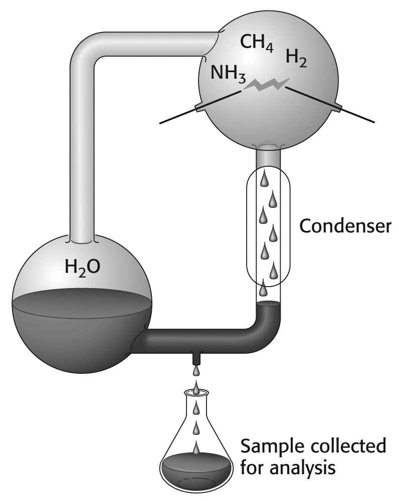 Prebiotische Entwicklung Urey-Miller Experiment, aus Methan, Ammoniak, Wasser und Wasserstoff entstehen Aminosäuren.