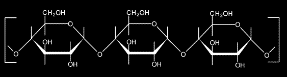 Die wichtigsten Gruppen von Biomolekülen Zucker (Saccharide) Monosaccharide sind die Grundbausteine der Kohlenhydrate