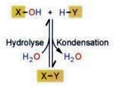 Wie funktionelle Gruppen chemisch reagieren Funktionelle Gruppen reagieren meist untereinander, wodurch sich zusammengesetzte funktionelle Gruppen bilden (Beispiele): Hydroxylgruppe (OH) +