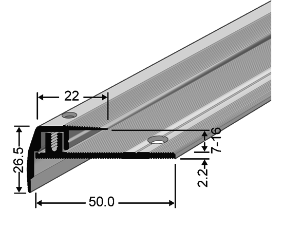 TS Euro-Step (Abdeckprofil zum Schrauben) 2-teiliges Aluminium-Profil bestehend aus dem Basis- und dem Abdeckprofil.