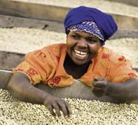 28 WERTSCHÖPFUNGSKETTE KAFFEE WERTSCHÖPFUNGSKETTE KAFFEE << 29 Global Coffee Platform Diese Herausforderungen und Lösungen bildet die Vision 2020 ab, die als Grundlage des neuen Zusammenschlusses