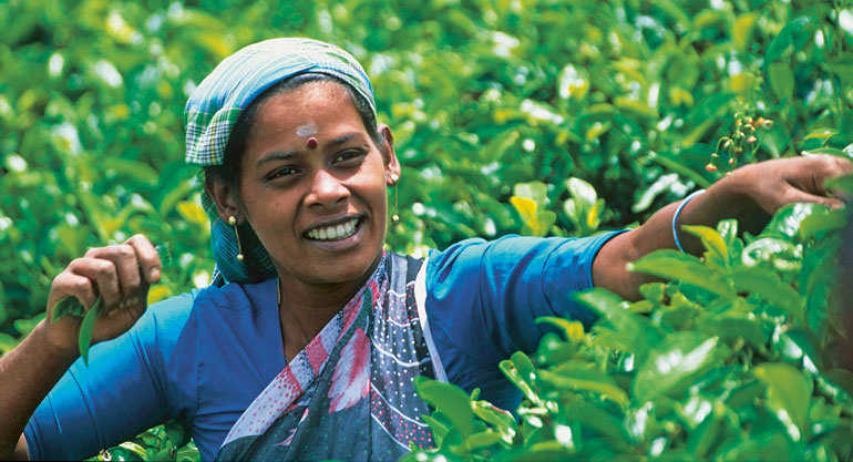 Idee von Fairtrade Durch fairen Handel sollen benachteiligte Regionen und Produzenten im Süden gestärkt werden.