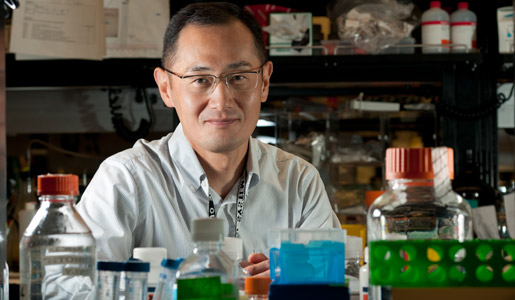 Beispiel 2: Interview mit Shinya Yamanaka über ips-zellen Der japanische Forscher Shinya Yamanaka (Abb. 1) wurde im Jahr 2012 mit dem Nobelpreis für Medizin ausgezeichnet (zusammen mit John B.