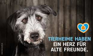 Tierschutzjugend NRW im Landestierschutzve