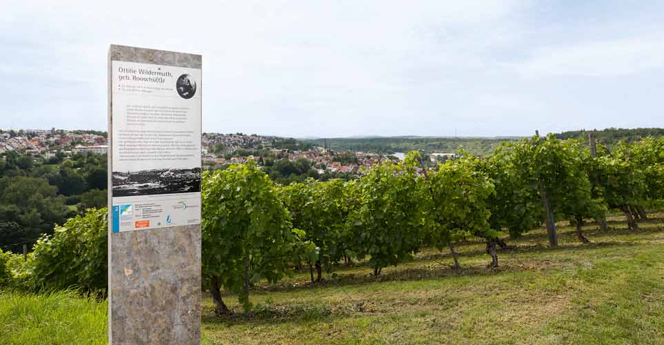Originelle Idee: Wein-Lese-Weg Die Tourismus-Gemeinschaft Marbach-Bottwartal verschrieb sich der Literatur und dem Wein.