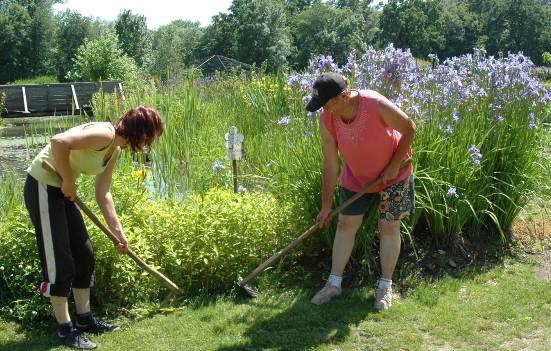 Gartenführungen Während der Gartensaison von April bis Oktober können Sie sich in dem beinah 2 ha großen mit seinen zahlreichen Themengärten von Rosengarten über Biotop, Staudengarten bis