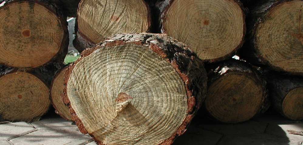 KOSTEN- Vergleich Holz ist nicht gleich Holz Ster (CHF) 45 90 180 195 Festmeter ca.