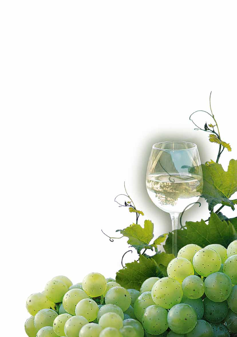 Oberwese 400 Jahre 400 Years Weinbautradition