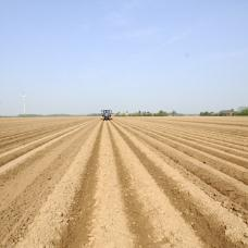 Agrarfläche werden 2010: 60 70 % für Futtermittel 30 40 % für Grundnahrungsmittel genutzt!