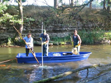 Innerhalb von drei Jahren wurden in 107 Oberflächenwasserkörpern Untersuchungen zum Fischbestand durchgeführt, davon in den Jahren 2005 - an 45 Probestellen, 2006- an 66 Probestellen und 2007 - an 44