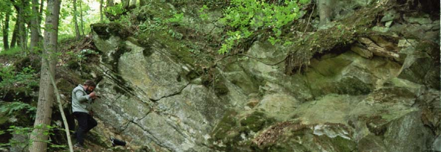 15 Abbildung 9: Überblick über den verwachsenen Steinbruch Kochholz (Probennahme). Foto: GÖTZINGER, M., Winter 2004/05. Die Schichten streichen von NNW nach SSO und fallen mittelsteil nach WSW ein.
