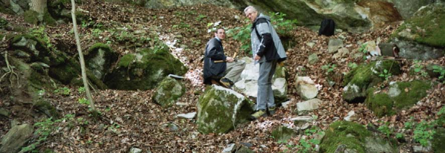 In den oberen Randbereichen des Steinbruches, in der Nähe des Kontaktes zum Amphibolit, wurden aber auch Erzlinsen mit einem Durchmesser von etwa 3 cm entdeckt.