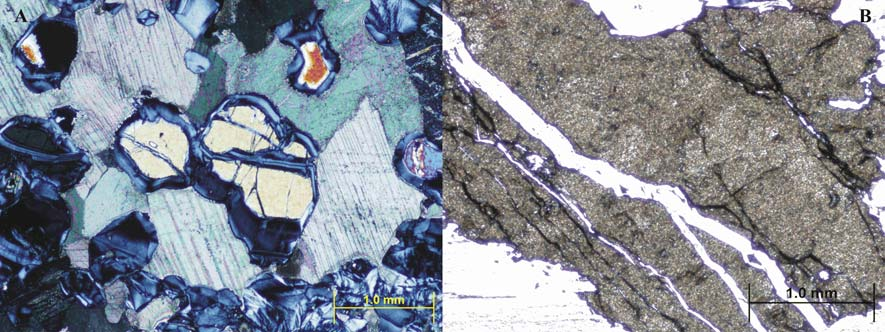 62 Amphibol wurde nur an einem einzigen Kristall nachgewiesen und ist stark zerbrochen und angelöst.