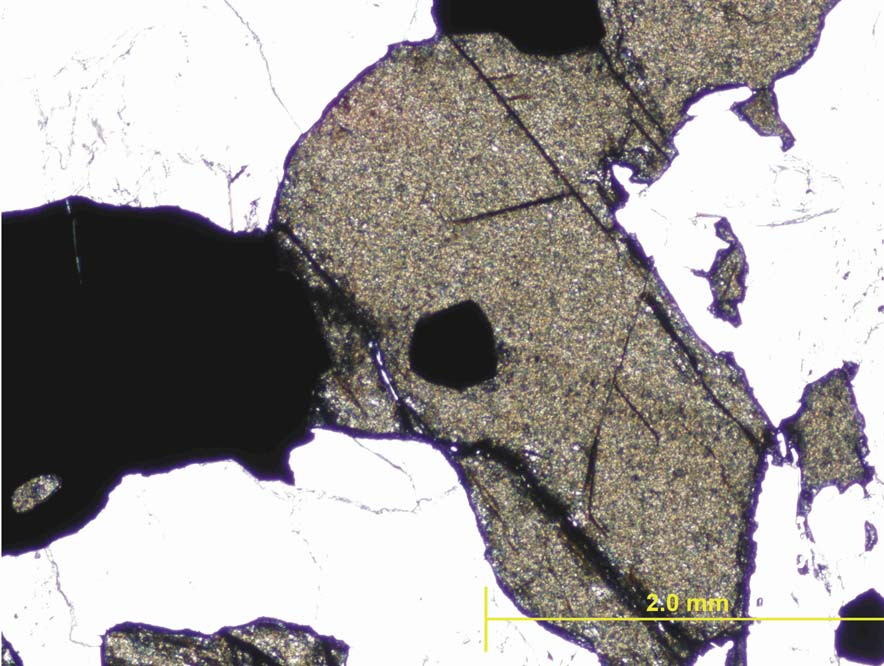 71 Abbildung 28: Vererzter Marmor von Winkl: Sphalerit (braun) zeigt keine Zonierung und ist tektonisch zerbrochen.