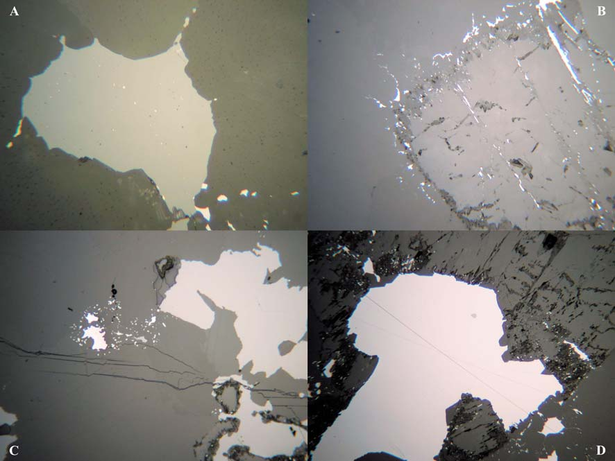87 Abbildung 39: Auflichtmikroskopische Abbildungen von Anschliffen aus Winkl: A: Sphalerit (hellgrau) mit chalkopyrite disease und Galenit (weißgrau), beide in Karbonatmatrix Vergr.