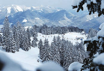 Jänner 2017 bis Saisonende, jeden Samstag von 13 bis 16 Uhr. Am Samstag, den 14. Jänner, ist in allen genannten Skigebieten Ski-Schnuppern möglich. Mindestteilnehmerzahl: 3 Personen. Max.