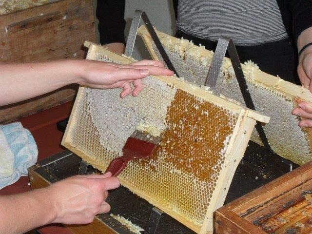 Der Juli Die Zeit des Überflusses geht vorbei. Die Bienen haben gute Arbeit geleistet. Die Honigrähmchen sind prall gefüllt und der Wintervorrat für die Völker schein gesichert.