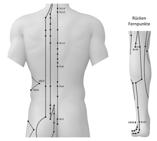 DAS MERIDIANSYSTEM DES RÜCKENS Der obere Rücken wird beeinflusst vom Du Mai (Lenkergefäß) Blasen Meridian Lungen - Meridian Der untere Rücken (L 1 S 3) wird beeinflusst vom Du Mai (Lenkergefäß)