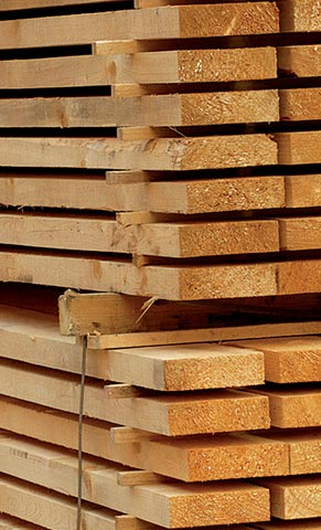 Schnittholz Holzwerkstoffe Holzschutz